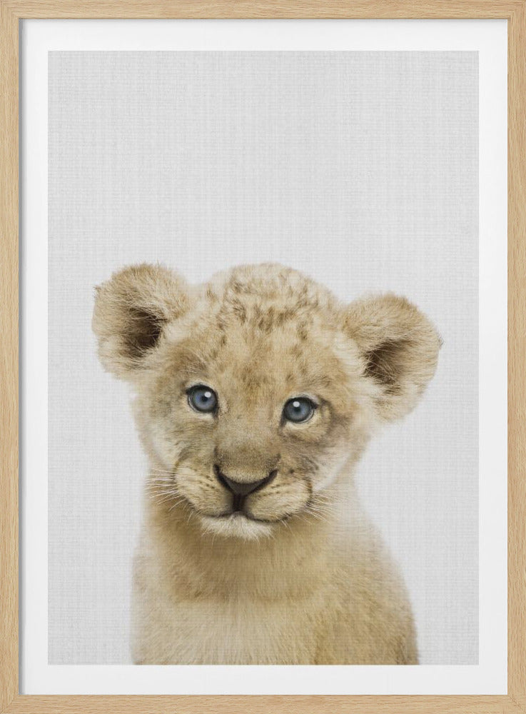 A framed close-up portrait of a cute baby lion cub with fluffy tan fur and big blue eyes, looking directly at the camera against a plain white background. Decor