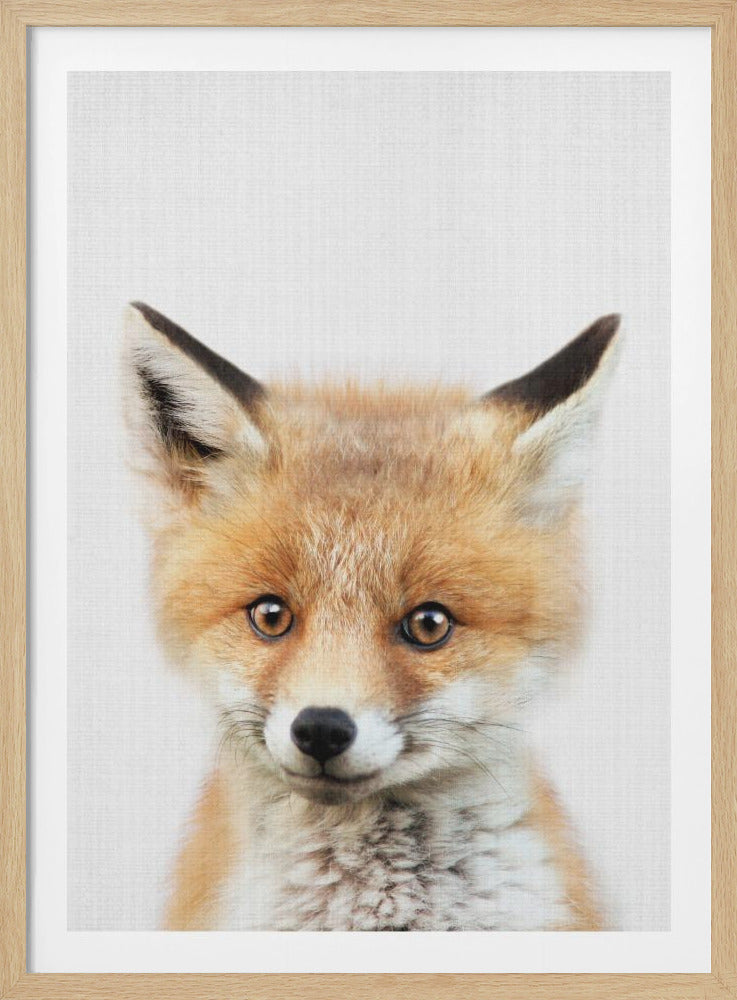 A close-up portrait of a young fox cub looking directly into the camera. The cub has vibrant orange and white fur, large brown eyes, and is set against a simple white textured background, all within a thin black frame. Print