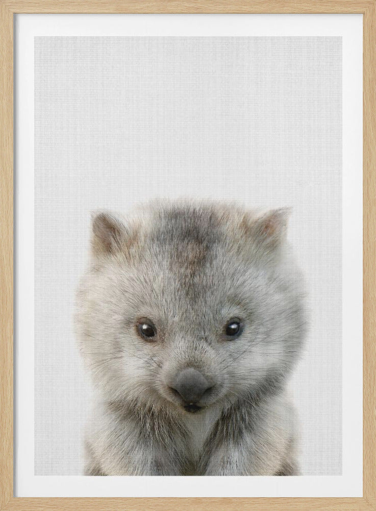A framed, close-up portrait of a cute, fluffy baby wombat with gray fur and dark eyes, looking directly forward against a plain white background. Print
