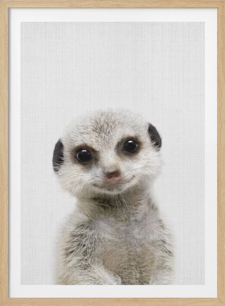 A framed close-up portrait of an adorable baby meerkat against a plain white background. The meerkat looks directly at the viewer with large, dark, expressive eyes and a gentle smile, its light grey fur soft and detailed. Decor