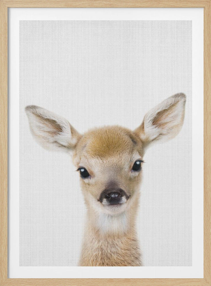 A close-up studio portrait of a baby deer, or fawn, looking directly at the camera. The fawn has soft, light brown fur, large dark eyes, and prominent ears. The background is a solid, textured white, and the entire image is enclosed in a thin black frame. Print