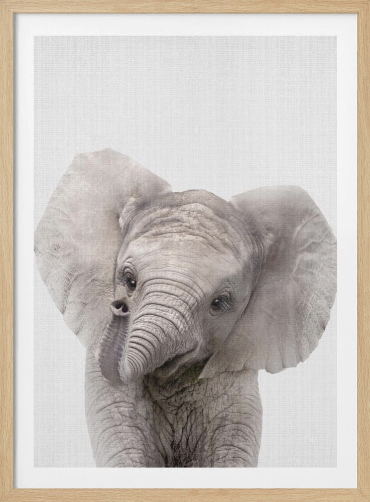 A framed, black and white close-up photograph of a baby elephant. The elephant is tilting its head to the side, looking at the viewer with a curious expression. The background is a simple, textured white canvas. Decor