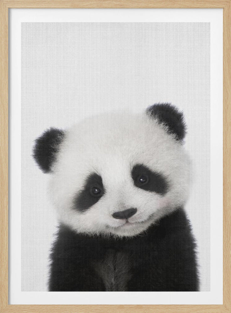 A close-up, black and white portrait of a fluffy baby panda looking slightly to the side with a sweet expression. The image has a textured, off-white background and is presented in a simple black frame. Artwork