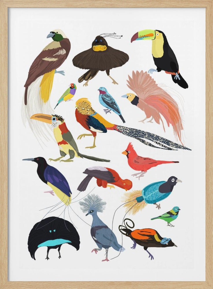 A framed art print displaying a collection of sixteen different species of colorful, exotic birds against a plain white background. The birds are illustrated in a flat, stylized manner and include a toucan, a cardinal, a pheasant, and several birds-of-paradise, all showcasing unique and vibrant plumage. Artwork