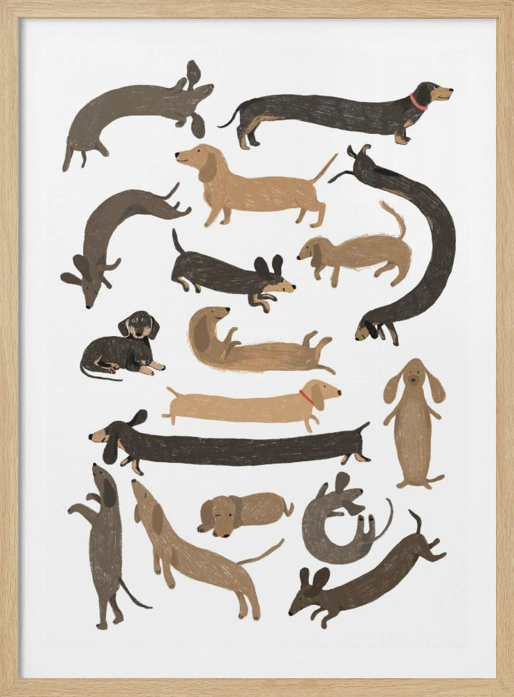 A framed art print featuring a whimsical pattern of numerous dachshund dogs in various shades of brown and black against a plain white background. The dogs are depicted in playful and exaggerated poses, with some stretched to comical lengths, others curled up, and some standing on their hind legs. Decor