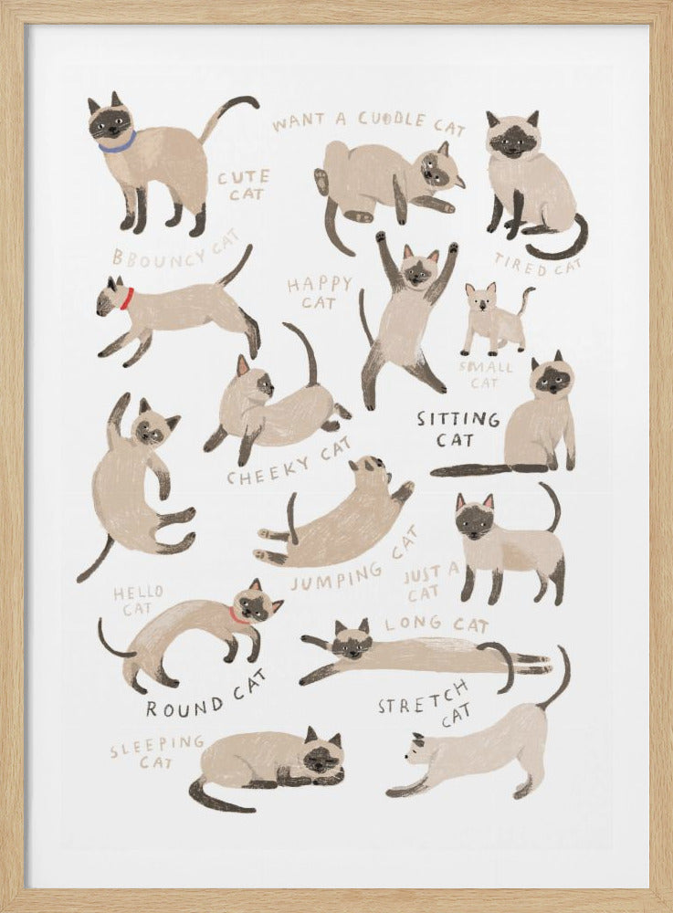 An art print illustrating many Siamese cats in different poses and moods on a white background. Each cat is accompanied by a handwritten label, such as 'Happy Cat', 'Bouncy Cat', 'Sleeping Cat', and 'Stretch Cat', describing its action or feeling. Poster