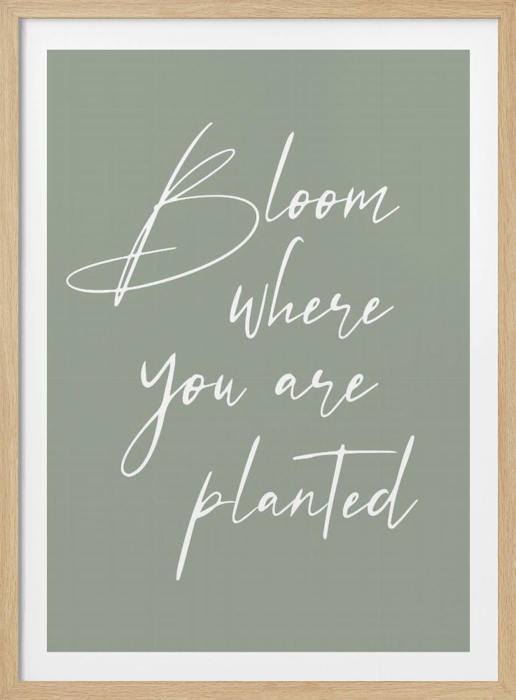 A framed piece of wall art with a sage green background. The words 'Bloom where you are planted' are written in a white, cursive, handwriting-style font. The artwork is housed in a simple black frame. Wall Art