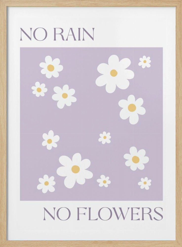 A modern art print with the phrase 'NO RAIN NO FLOWERS' split between the top and bottom. The center features a pattern of white daisies with yellow centers on a light purple background, all framed in black. Artwork