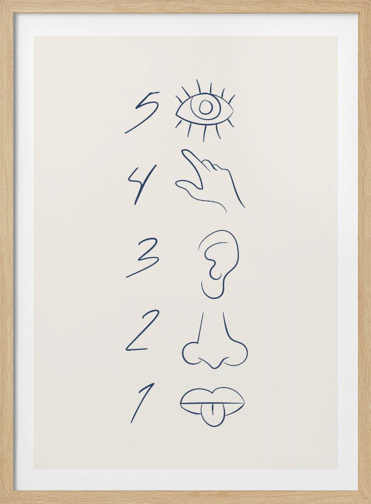 A minimalist line drawing in a black frame, featuring the numbers 5 through 1 in a vertical column. Beside each number is a corresponding sense organ: an eye for 5 (sight), a hand for 4 (touch), an ear for 3 (hearing), a nose for 2 (smell), and a mouth with a tongue out for 1 (taste). The art is drawn in dark blue on an off-white background. Artwork