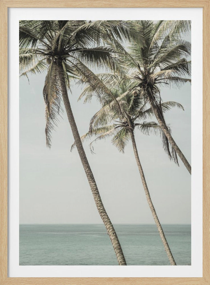 A photograph of several tall palm trees leaning diagonally over a calm, blue-green ocean under a pale, hazy sky, creating a serene and tropical atmosphere. Poster