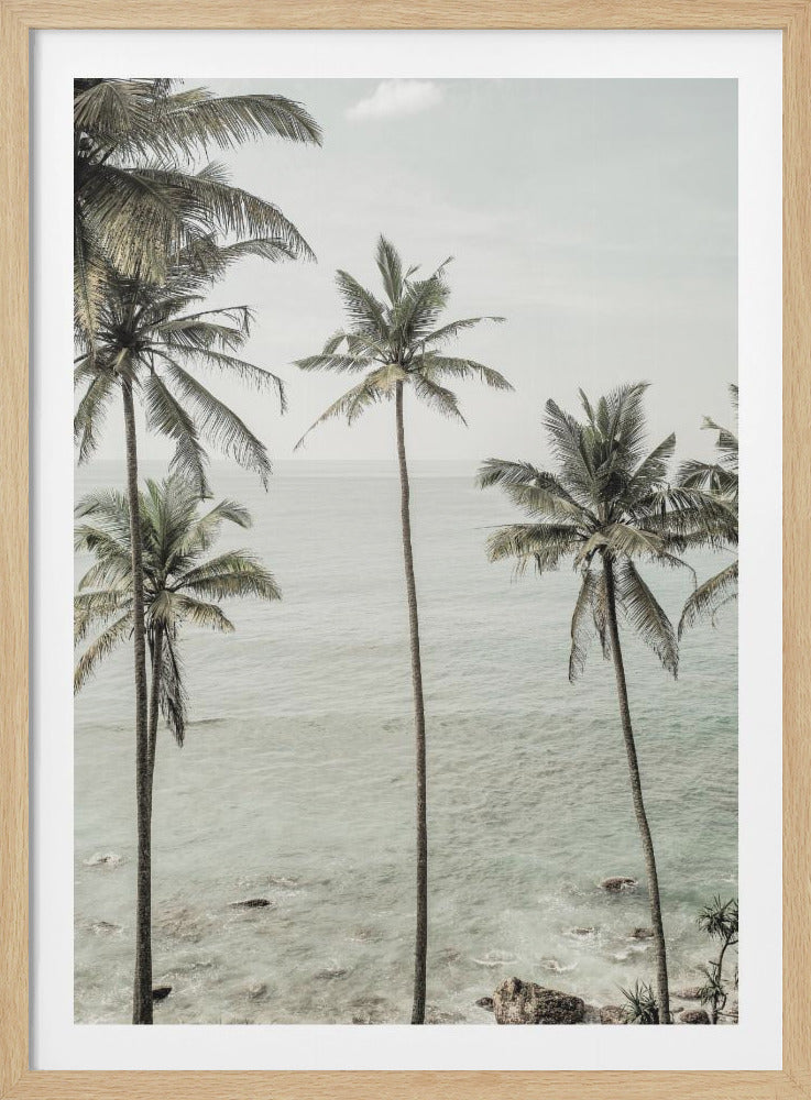 A vertical photograph in a black frame showing several tall palm trees overlooking a serene, light-colored ocean under a hazy sky. The image has a faded, vintage aesthetic. Poster
