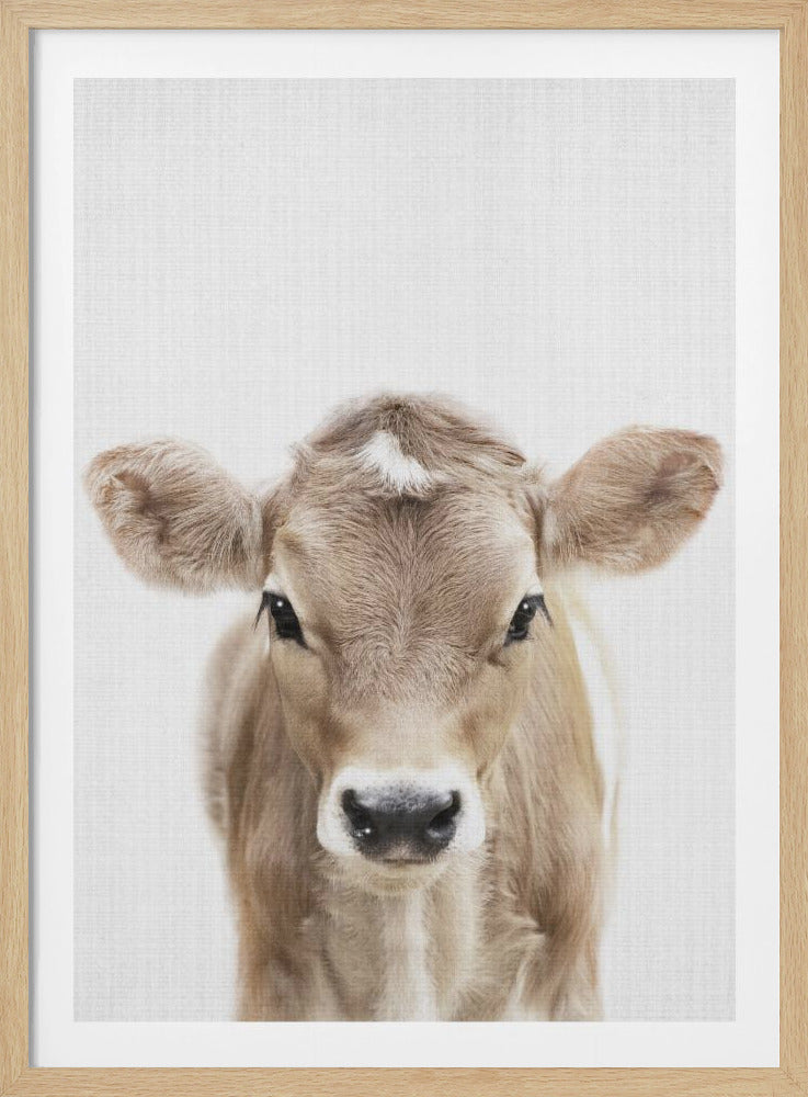 A close-up portrait of a light brown baby cow looking directly at the camera against a stark white background, enclosed in a simple black frame. Artwork