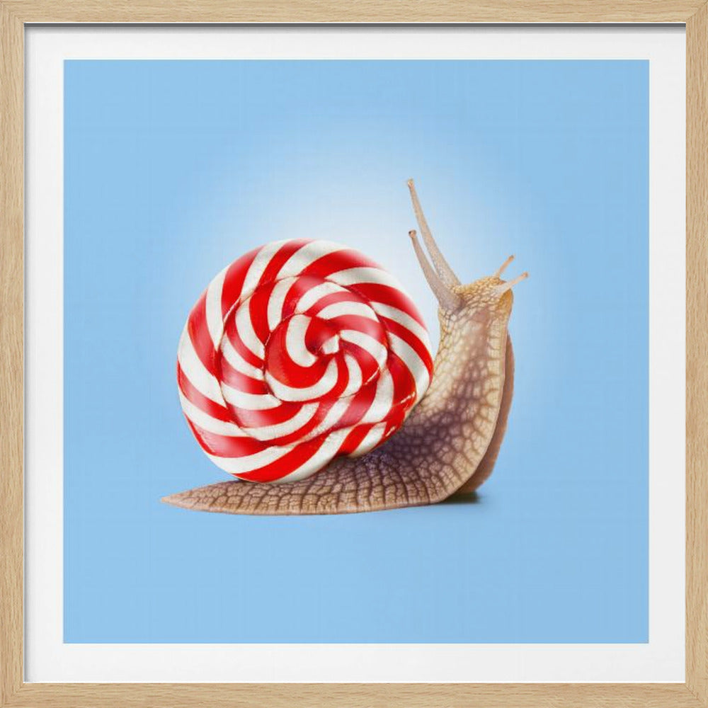 A whimsical photo-illustration of a snail with a red and white swirl lollipop for a shell, crawling against a bright light blue background, all enclosed in a light wood frame. Artwork