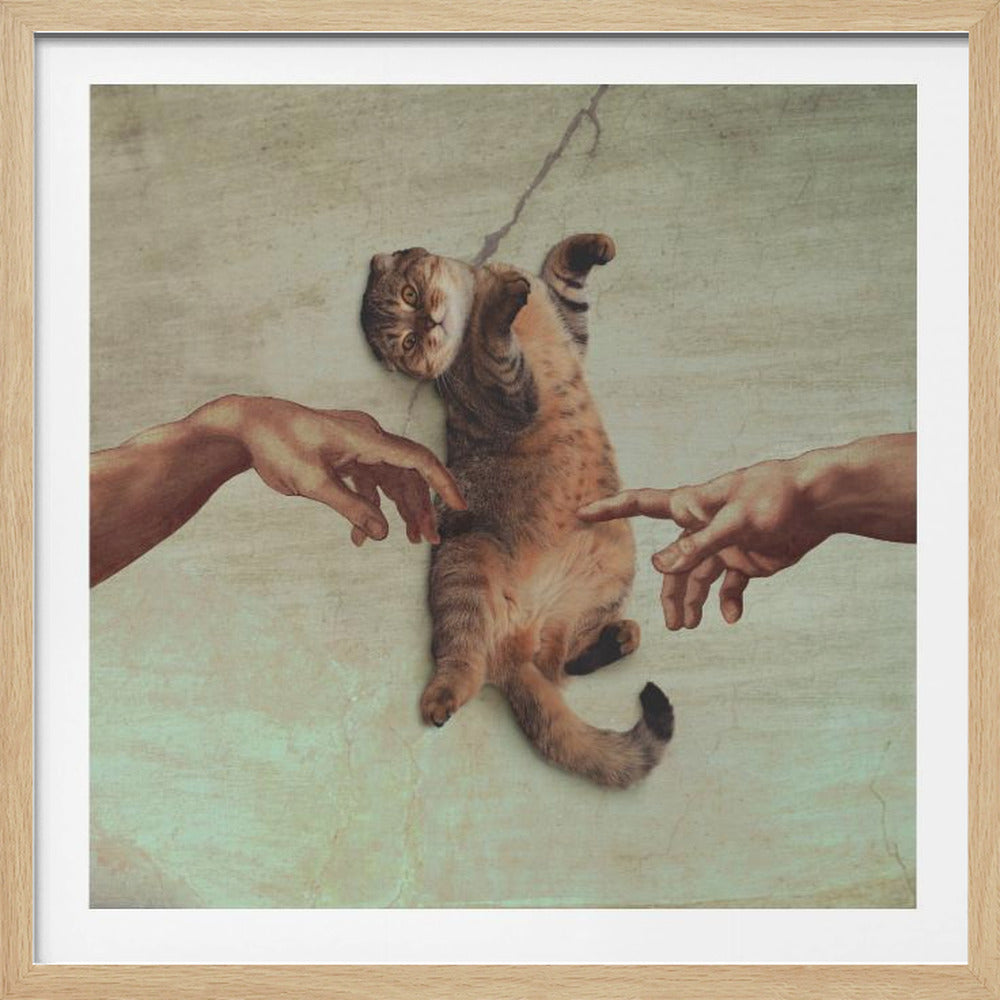 A framed artwork parodying Michelangelo's 'The Creation of Adam', where a brown tabby cat replaces Adam. The hands of God and Adam are shown reaching out to touch the cat's belly and paw against a fresco-style background. Artwork