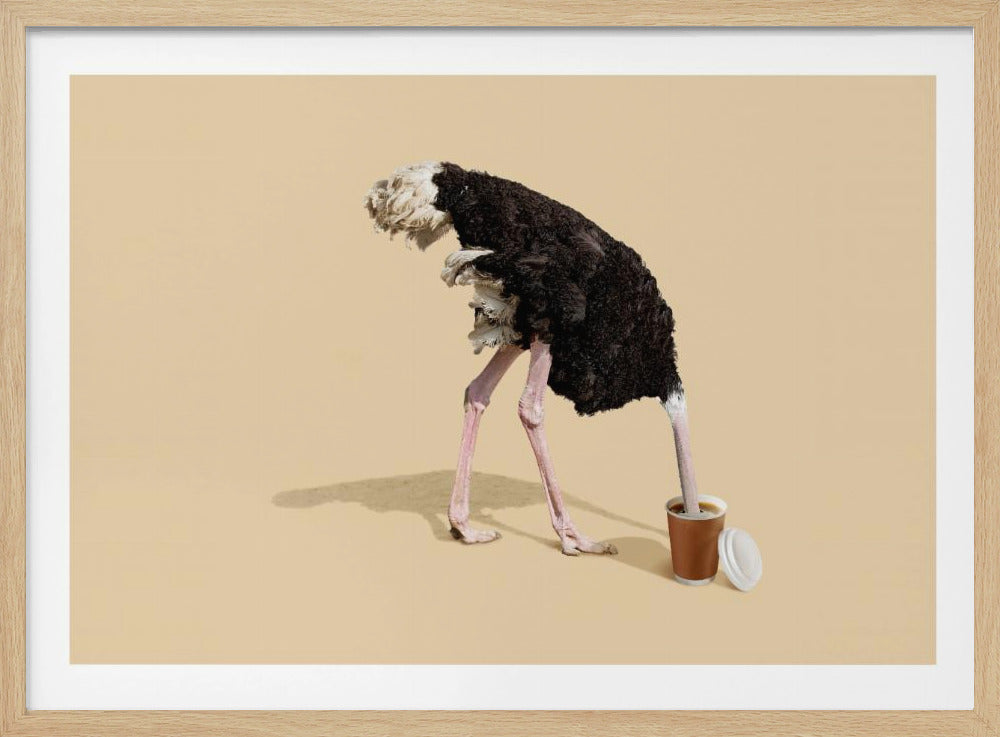 A humorous and surreal image of a black and white ostrich with its head buried inside a disposable coffee cup, set against a plain beige background and enclosed in a silver frame. Decor