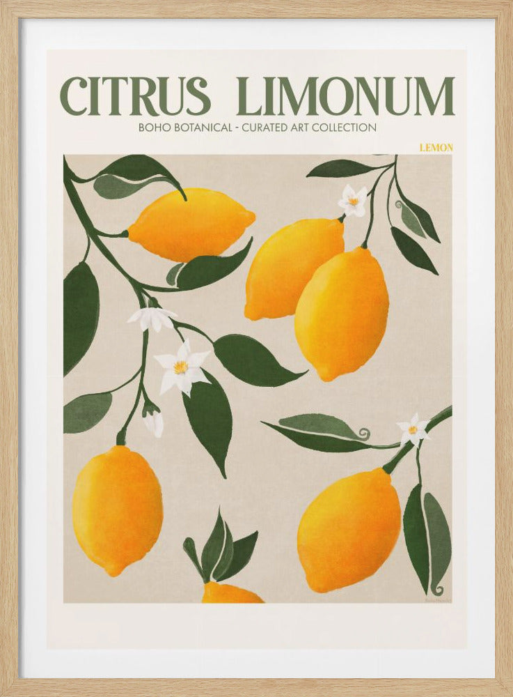 A boho-style botanical art print titled 'CITRUS LIMONUM' featuring an illustration of bright yellow lemons hanging from branches with dark green leaves and white blossoms against a cream-colored background. The print is enclosed in a simple black frame. Wall Art