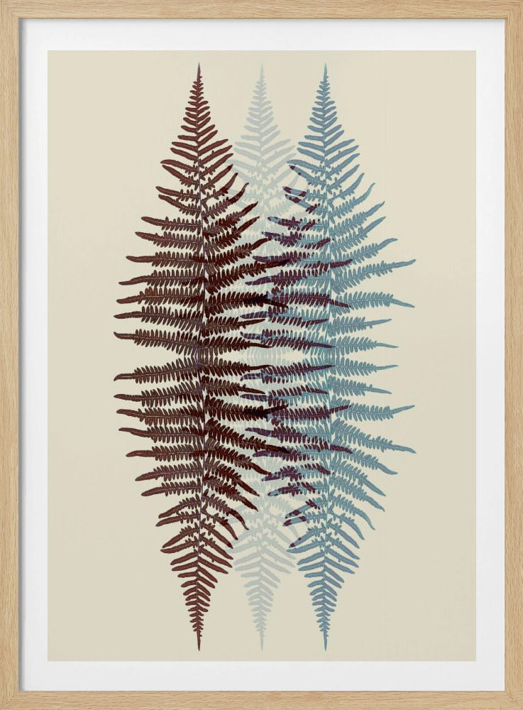 A modern botanical art print featuring three overlapping fern fronds against a cream background. The frond on the left is reddish-brown, the one on the right is blue, and a fainter blue frond is visible in the middle, creating a layered, translucent effect. The entire piece is enclosed in a simple black frame. Wall Art