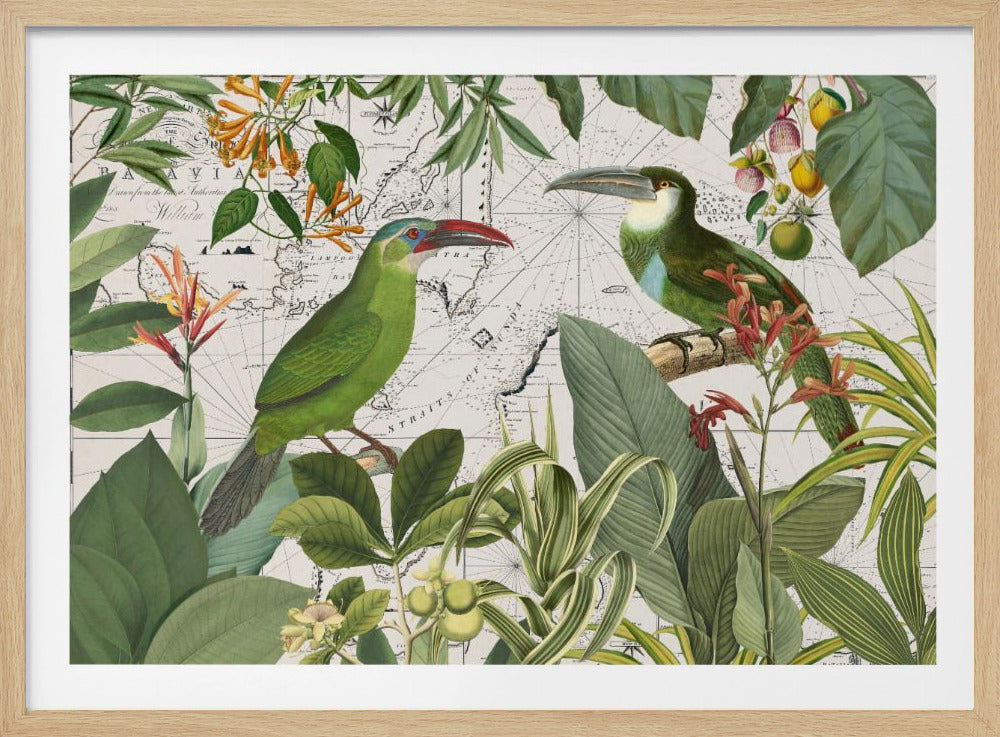 A vintage collage featuring two green toucans perched among tropical leaves and flowers, with an antique map serving as the background. The artwork is presented in a silver frame. Print