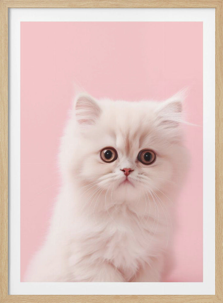 A close-up portrait of an adorable, fluffy white Persian kitten with large, round brown eyes staring directly forward against a solid soft pink background, enclosed in a thin black frame. Artwork
