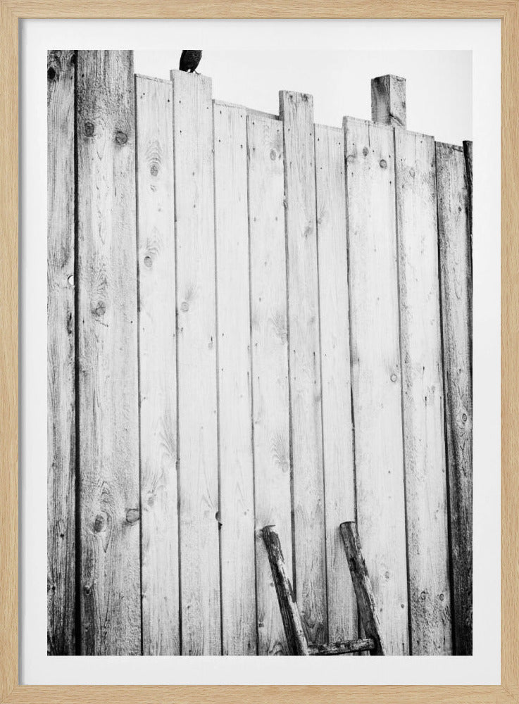 A black and white, low-angle photograph of a weathered wooden plank fence. The vertical planks are of varying heights, creating an uneven top line against a pale sky. The focus is on the texture of the wood, showing prominent grain, knots, and nail holes, all framed in black. Poster