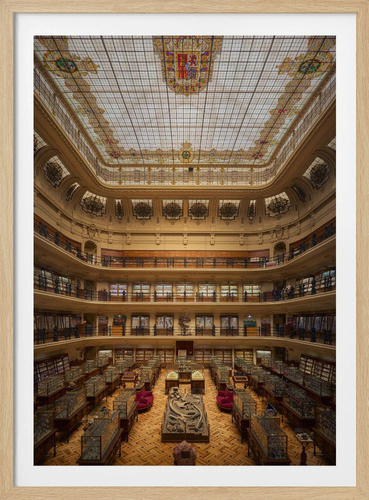 A wide, high-angle view of a majestic, multi-story museum hall with a stunning stained-glass ceiling, ornate balconies on each level, and a ground floor filled with glass display cases and a large fossil exhibit in the center. Poster