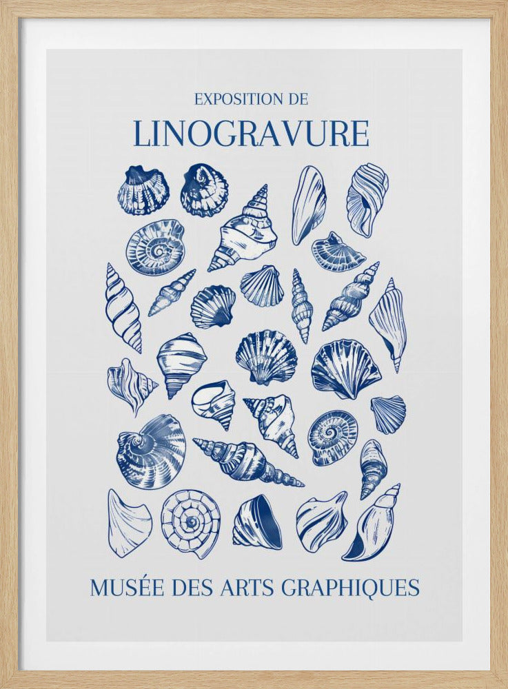 A vintage-style exhibition poster for 'Exposition de Linogravure' at the 'Musée des Arts Graphiques'. The poster features a collection of intricately detailed seashells illustrated in a blue linocut style on an off-white background, all enclosed in a simple black frame. Artwork