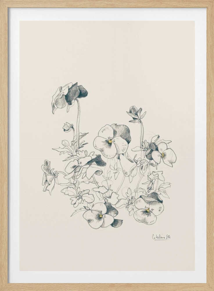A vertical, framed pencil sketch of a cluster of pansy flowers on a cream-colored background. The artwork features detailed linework and shading, capturing the delicate petals and leaves of the flowers. The entire piece is housed in a simple, thin black frame. Artwork