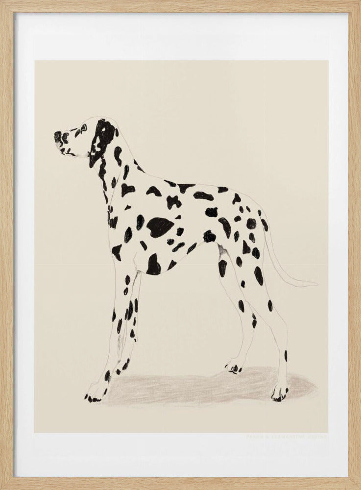 A framed illustration of a Dalmatian dog standing in profile, facing left. The drawing is done in a simple, clean style on a solid cream-colored background, with the dog casting a subtle shadow beneath it. Poster