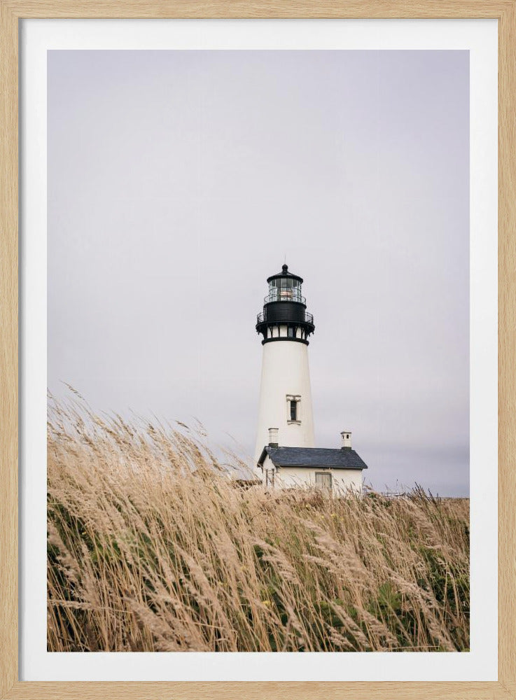 A framed photograph of a white lighthouse with a black top, set against a muted, overcast sky. The foreground is filled with tall, wild beige grass blowing in the wind, partially obscuring the base of the lighthouse. Decor