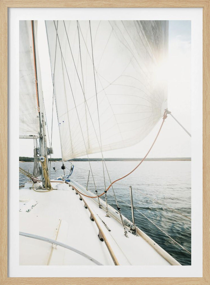 A view from the deck of a sailboat on a bright, sunny day. A large white sail fills the frame, backlit by the sun, as the boat glides over calm blue water towards a distant shore. Print