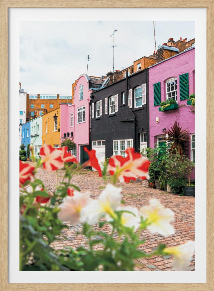 A low-angle view of a charming, narrow cobblestone street lined with colorful row houses in shades of pink, black, yellow, and blue, with blurred red and white petunias in the foreground. Wall Art