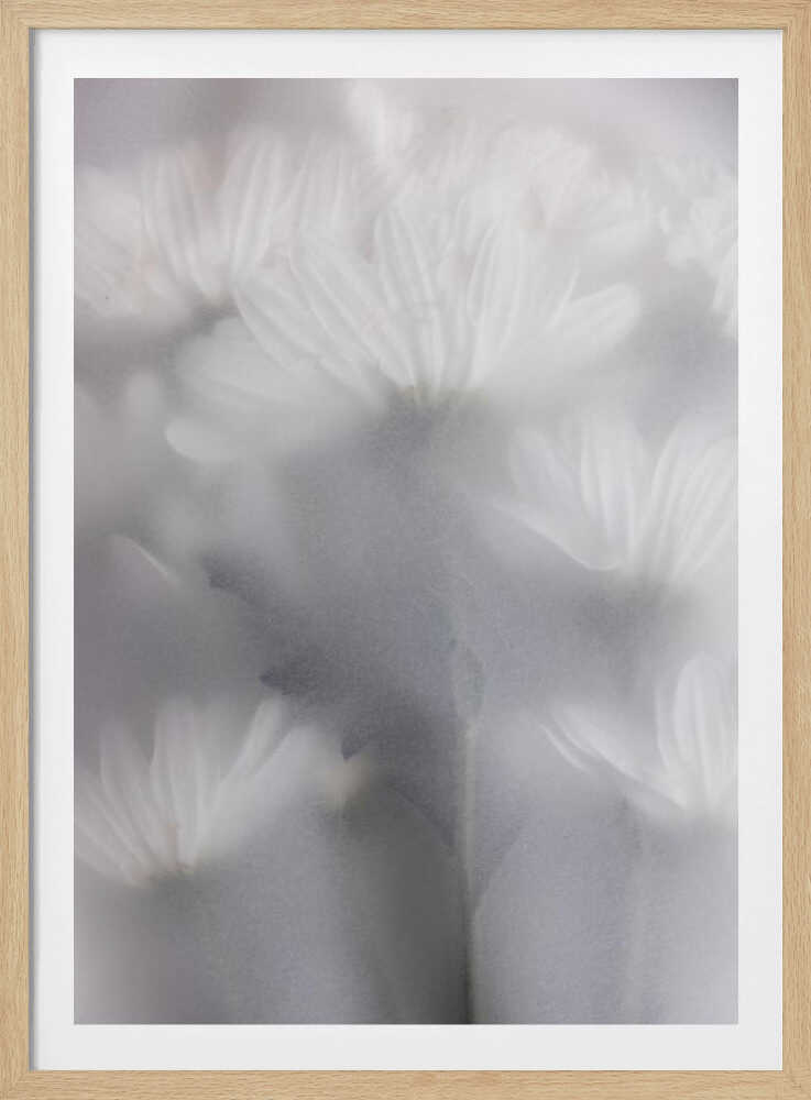 Blurred Flowers 6 - Poster / Art Print