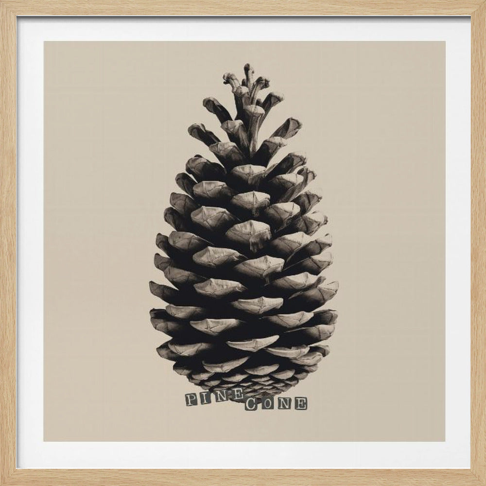 A framed art print featuring a detailed, monochrome photograph of a single pine cone against a solid beige background. The words 'PINE CONE' are printed in a blocky, cutout letter style at the base of the cone. The print is housed in a simple, light wood frame. Print