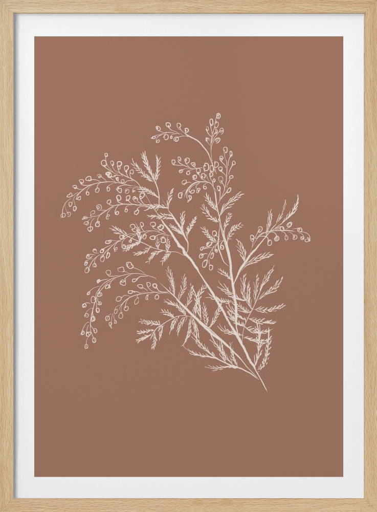 A minimalist botanical artwork featuring a white line drawing of a delicate plant sprig with feathery leaves and small berries against a solid dusty rose background, enclosed in a simple black frame. Artwork