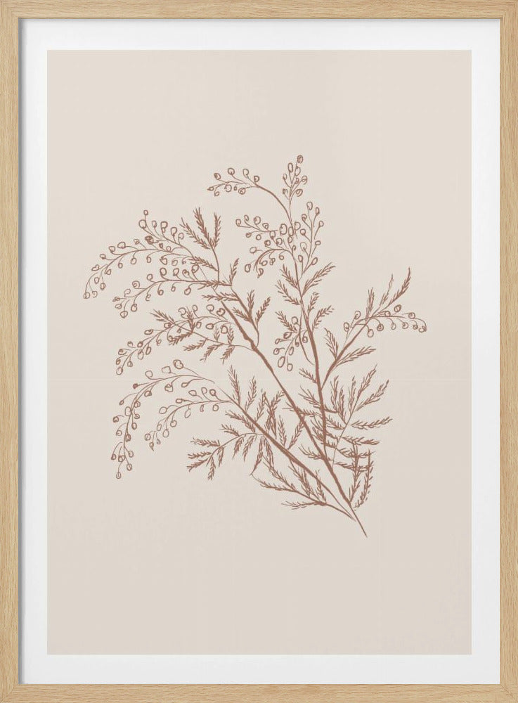 A minimalist botanical illustration of a delicate plant sprig with feathery leaves and small berries, rendered in reddish-brown ink on a light beige background, presented in a simple black frame. Print