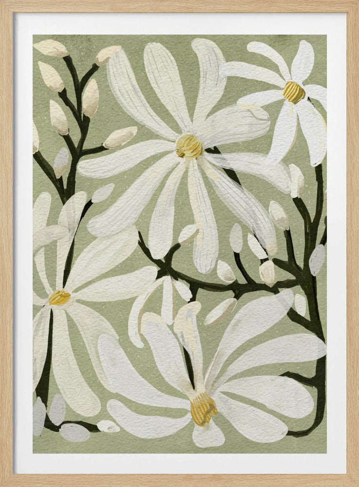 A vertical painting of white star magnolia blossoms and buds on dark branches, set against a solid sage green background. The flowers have long, delicate petals and yellow centers, creating a dense, all-over floral pattern. Print