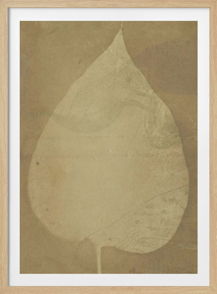A single leaf, as depicted in an 1843 art print or poster, likely featuring naturalistic or vintage tones. Artwork