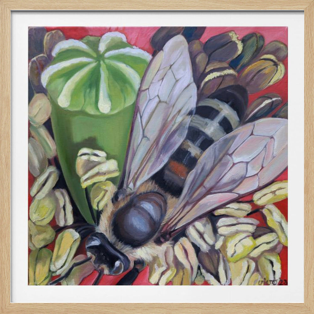 A detailed, close-up oil painting of a fuzzy honeybee pollinating a flower. The bee's translucent wings are spread, and it is nestled among yellow stamens next to a large, vibrant green poppy seed pod. The background is a solid, bright red, and the artwork is presented in a light wood frame. Poster