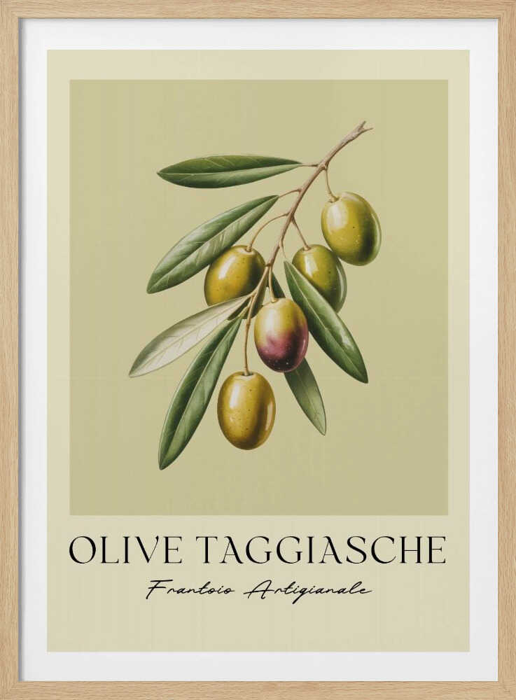 A vintage-style botanical art print of an olive branch with green Taggiasche olives against a muted green background. The text 'OLIVE TAGGIASCHE' and 'Frantoio Artigianale' is at the bottom. The print is matted and in a black frame. Print