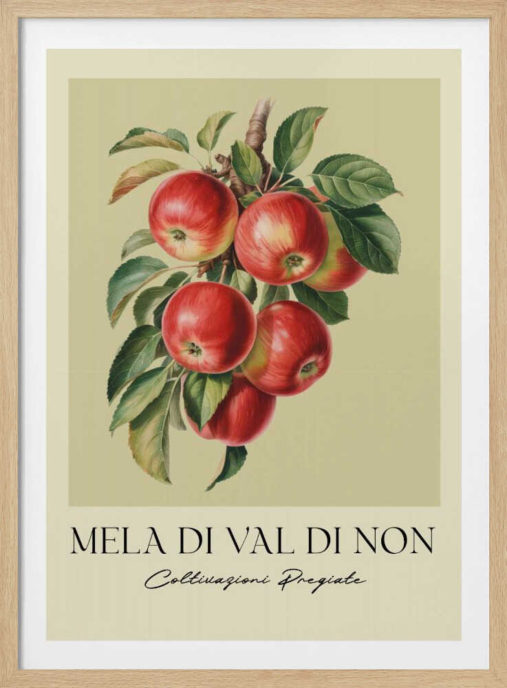 A vintage-style botanical poster featuring a realistic illustration of a cluster of red apples on a branch against a pale yellow-green background. Below the image is the text 'MELA DI VAL DI NON' in a serif font and 'Coltivazioni Pregiate' in a cursive script. The artwork is enclosed in a black frame. Print