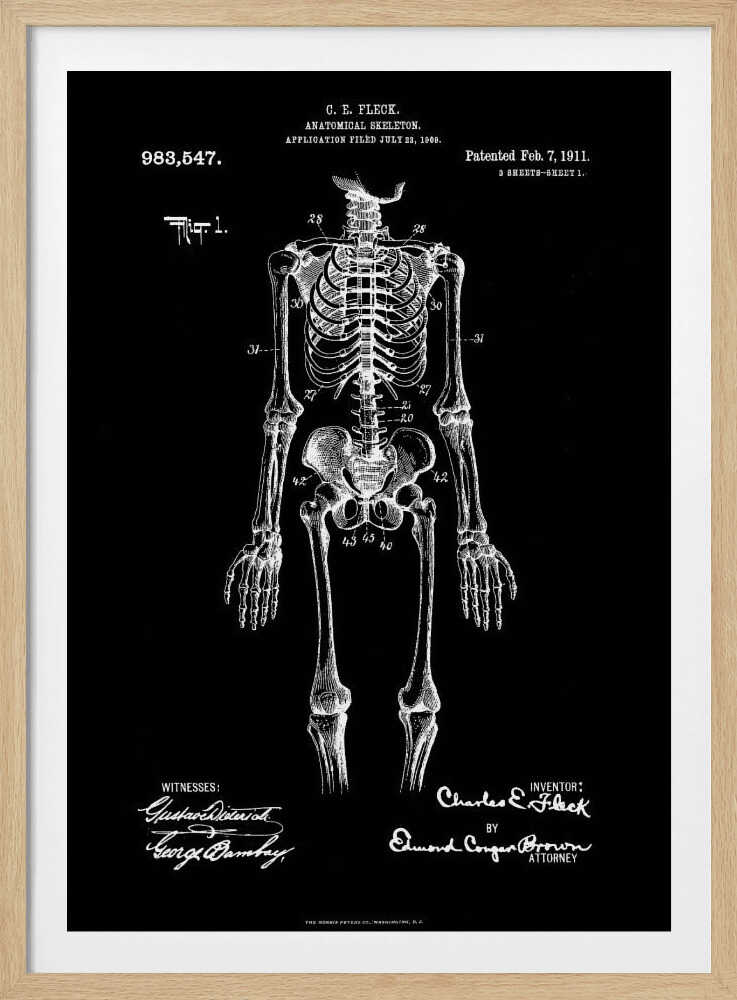A framed, vintage-style patent illustration of a human anatomical skeleton, presented as a white drawing on a black background. The detailed skeleton is shown from the front, with text indicating the patent number, date, and inventor, C.E. Fleck. Signatures are visible at the bottom. Print