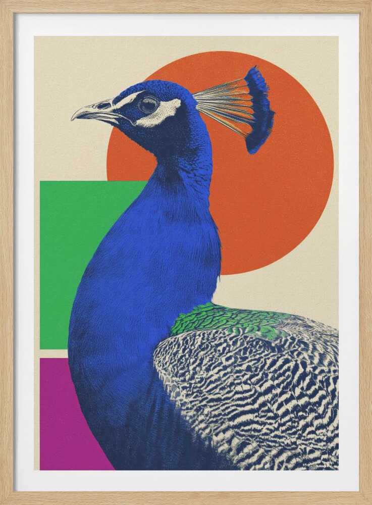 A modern graphic art poster featuring a profile view of a royal blue peacock against a cream-colored background with large geometric shapes, including an orange circle, a green rectangle, and a magenta rectangle. Wall Art