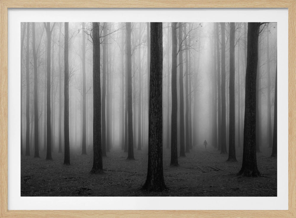 A moody black and white framed photograph of a person walking away through a dense forest on a foggy day. Tall, dark, leafless tree trunks stand in rows, disappearing into the thick, white mist, creating a sense of depth and mystery. Wall Art