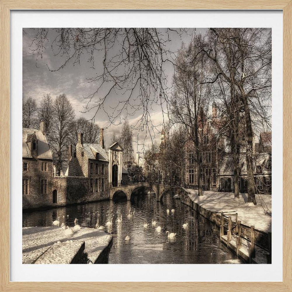 A vintage-style, framed photograph of a European canal scene in winter. Historic buildings and bare trees line the partially frozen canal, where several white swans are swimming. A light dusting of snow covers the canal banks and rooftops under a cloudy sky. Wall Art