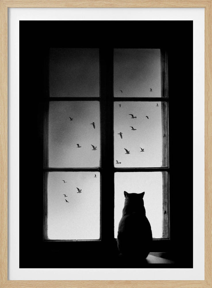 A black and white photograph showing the silhouette of a cat from behind, sitting on a windowsill and looking out through the panes at a flock of birds flying in the sky. Poster