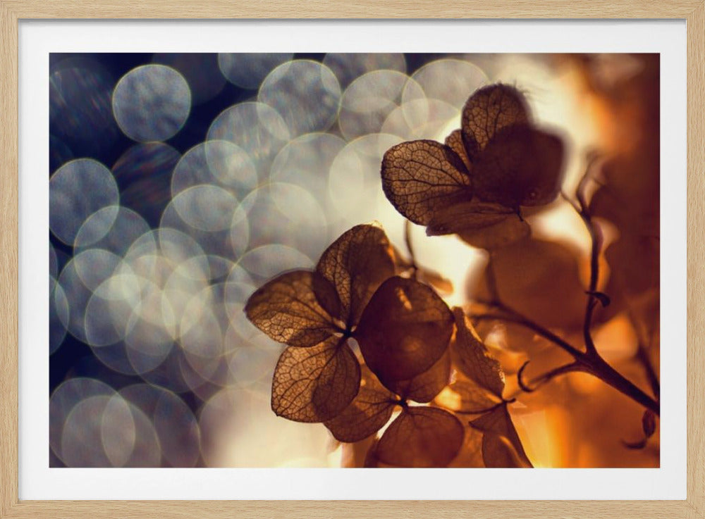 A beautiful light depicted on a poster or art print, suitable for home decor. Print