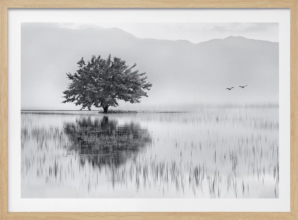 A serene black and white landscape photograph of a solitary tree standing in a calm lake, its reflection mirrored perfectly in the water. Hazy mountains are visible in the distance, and two birds fly across the pale sky, all enclosed within a silver frame. Print