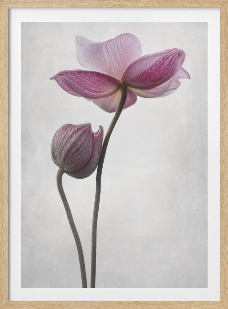 An abstract art print or poster titled 'A Little Touch', suitable for modern decor. Wall Art