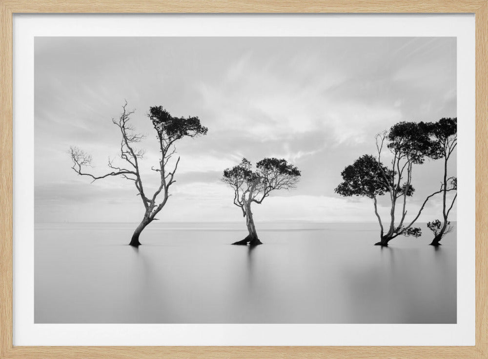 A serene black and white long-exposure photograph of several trees standing in still, calm water. The water is perfectly smooth, reflecting the dark silhouettes of the trees. A soft, cloudy sky hangs overhead, creating a minimalist and tranquil landscape scene, all enclosed in a silver frame. Decor