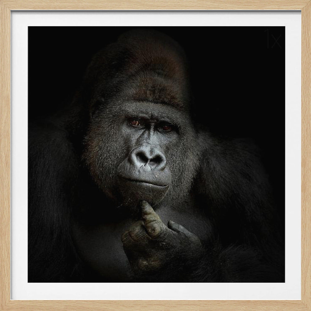 A dramatic, framed portrait of a gorilla against a black background. The gorilla looks directly at the viewer with a thoughtful expression, its chin resting on its hand. Decor